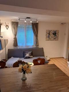Ferienhaus Chalet Großsölk - Großsölk - 5