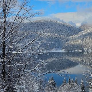 Tiny House 2 Dedinky Privat Wellness - 9