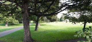 Dryden Gardens - 5