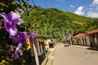 Cabaña Canto de las Aguas Cañón del Combeima - Ibagué - 8