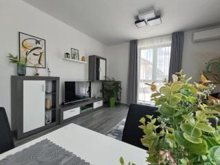 Apartament Maia Baile Felix - Băile Felix - 7