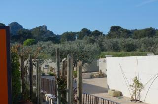 Les Lavandins-Gite Vincent - Saint-Rémy-de-Provence - 2