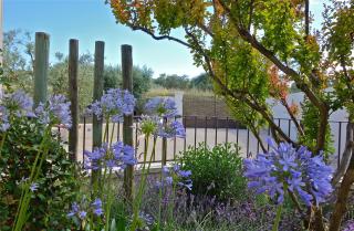 Les Lavandins-Gite Vincent - Saint-Rémy-de-Provence - 3