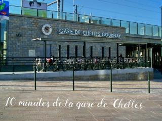 Studio SPA Le Petit Clos - Chelles - 8