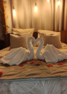 Studio SPA Le Petit Clos - Chelles - 4