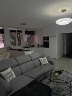 Élégance Alpine à Morbier - 5