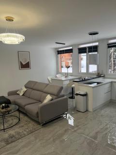 Élégance Alpine à Morbier - 7