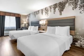 Best Western Plus Vineyard Inn - Livermore - 2