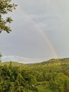 Pensiunea Bradu - Haleş - 5