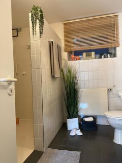 Privatwohnung mit Terrasse zum Relaxen - Lennestadt - 8