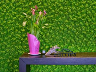 Collina Luxury Relais - 4