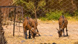 JNANE ZOHRA - Taroudant - 8