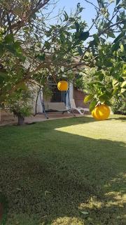 Splendide villa 2 ch avec piscine privée sans vis à vis à DYAR SHEMSI - Riaïna - 9
