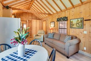 Cozy Dillard Cabin with Mountain Views and Pool Access - Dillard - 9