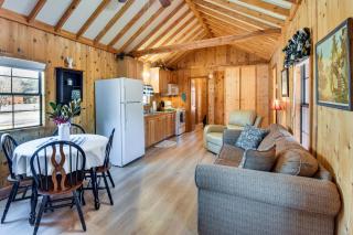 Cozy Dillard Cabin with Mountain Views and Pool Access - Dillard - 7