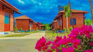 HOMESTAY HƯƠNG RỪNG - Tân Phú - 0
