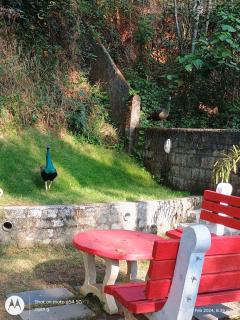 VIP GARDEN RESORT - 8