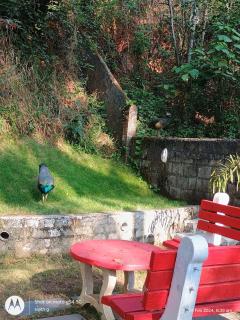 VIP GARDEN RESORT - 9