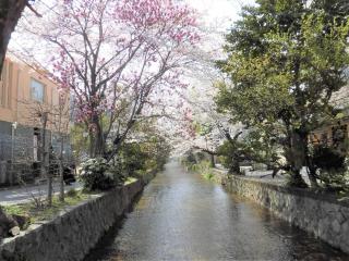Hotel IL Verde Kyoto - Kyōto - 3