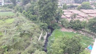 Swastik - 5