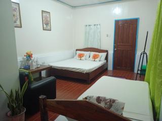 FerdsLhet Inn - San Vicente - 7