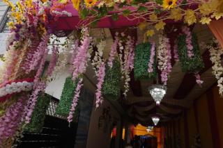 The Bliss - Kolkata - 9