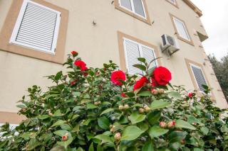 Apartments Savić - 9