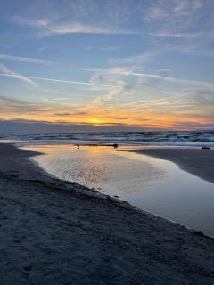 Apartament Foka - Rowy - Rowy - 1