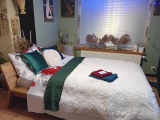ROSE ROOM 40m2 with terrace 25m2 , outdoor cooking in greeny area for 4 person - Ljubljana - 5