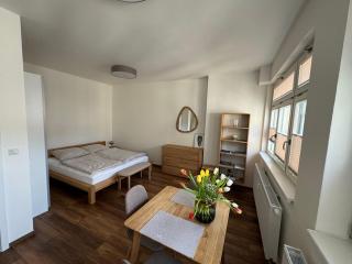 App. TB / Brno centrum - Brno - 8