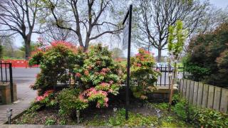 Mackenzie Guest house - 2