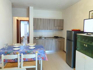 Gemini - Bibione - 2
