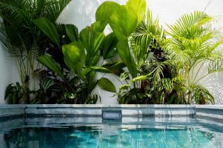 The Birdhouse Uluwatu 2BR Treetop Private Home with Deep Plunge Pool - Uluwatu - 4