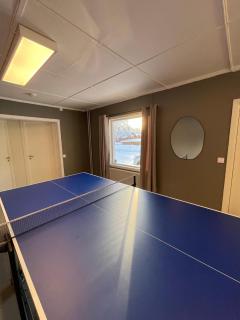 Spacious house in Trysil - 0