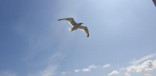 Long Stay Den Helder - 8