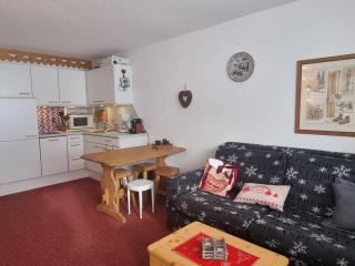 Studio au pied des pistes avec grand balcon et cuisine équipée - FR-1-181-2731 - Aime-la-Plagne - 0