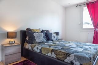 Appartement Fuychaa Proche de Lyon , Eurexpo , stadium , Aréna - Meyzieu - 4