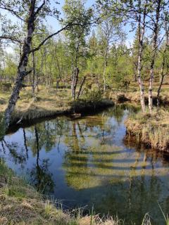 Kivakko Saariselän paratiisi - Saariselka - 0