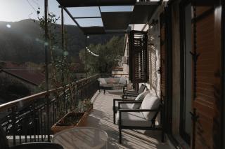 Nest 382 - Kotor (Cattaro) - 8