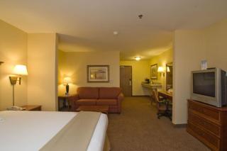 Holiday Inn Express & Suites - Laredo-Event Center Area by IHG - Laredo - 5