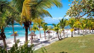 Accès direct Plage et Piscine, Vue Mer et Cocotiers, Les Gwada Studios, Village Vacances Ste Anne - 2