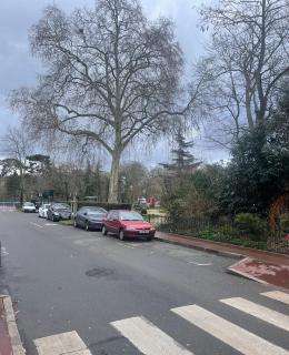 En face de Paris, les arbres - 6
