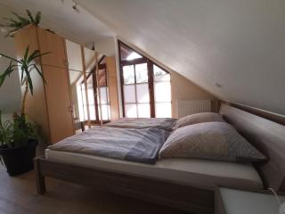Studio und Apartment auf dem Pferdehof - Burgpreppach - 1