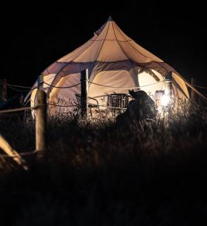 The Getaway - Seascape Belle Tent - Couples Luxury Glamping Belle Tent - 8