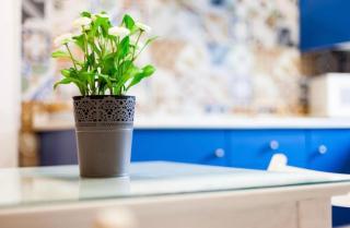 Apartamento Margarita - Remedios - Vejer de la Frontera - 9