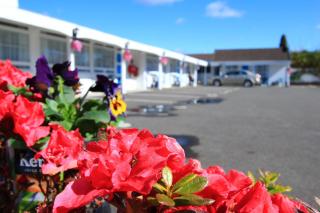 Golden Glow Motel - 4