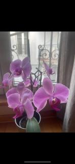 Slavija Square Apartments - Belgrado - 4