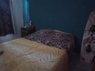 Colores de arguello - 3