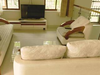 Anjilickal house, Entire private luxury villa - Murinjupuzha - 7