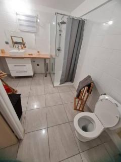 Chalet des laves - Sainte-Rose - 4